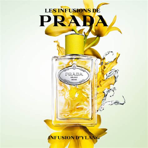 prada prada infusion d'|prada infusion d'ylang.